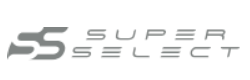 ss logo grey