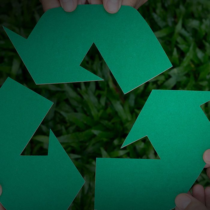 Rethinking Packaging: Our First Steps Towards Better Choices