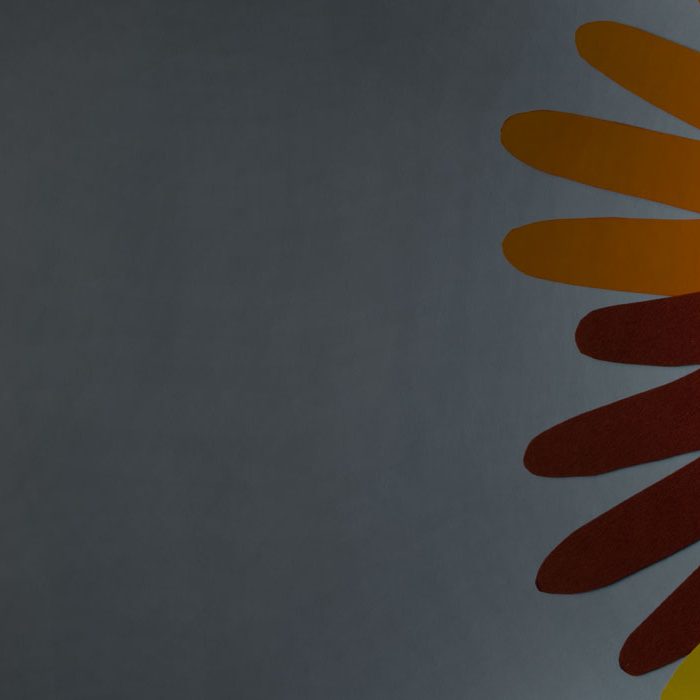 Sustainability in Motion: Small Changes Across Our Manufacturing Units